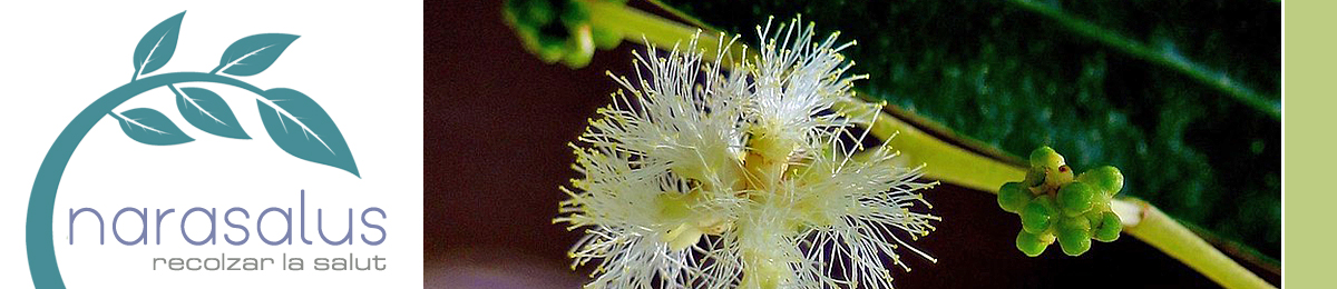 Narasalus - Flors de Bach