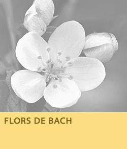 Flors de Bach