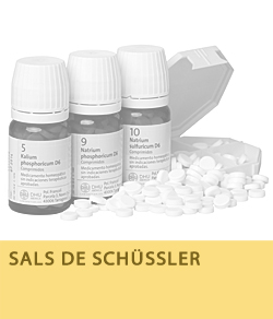 Sals de Schüssler